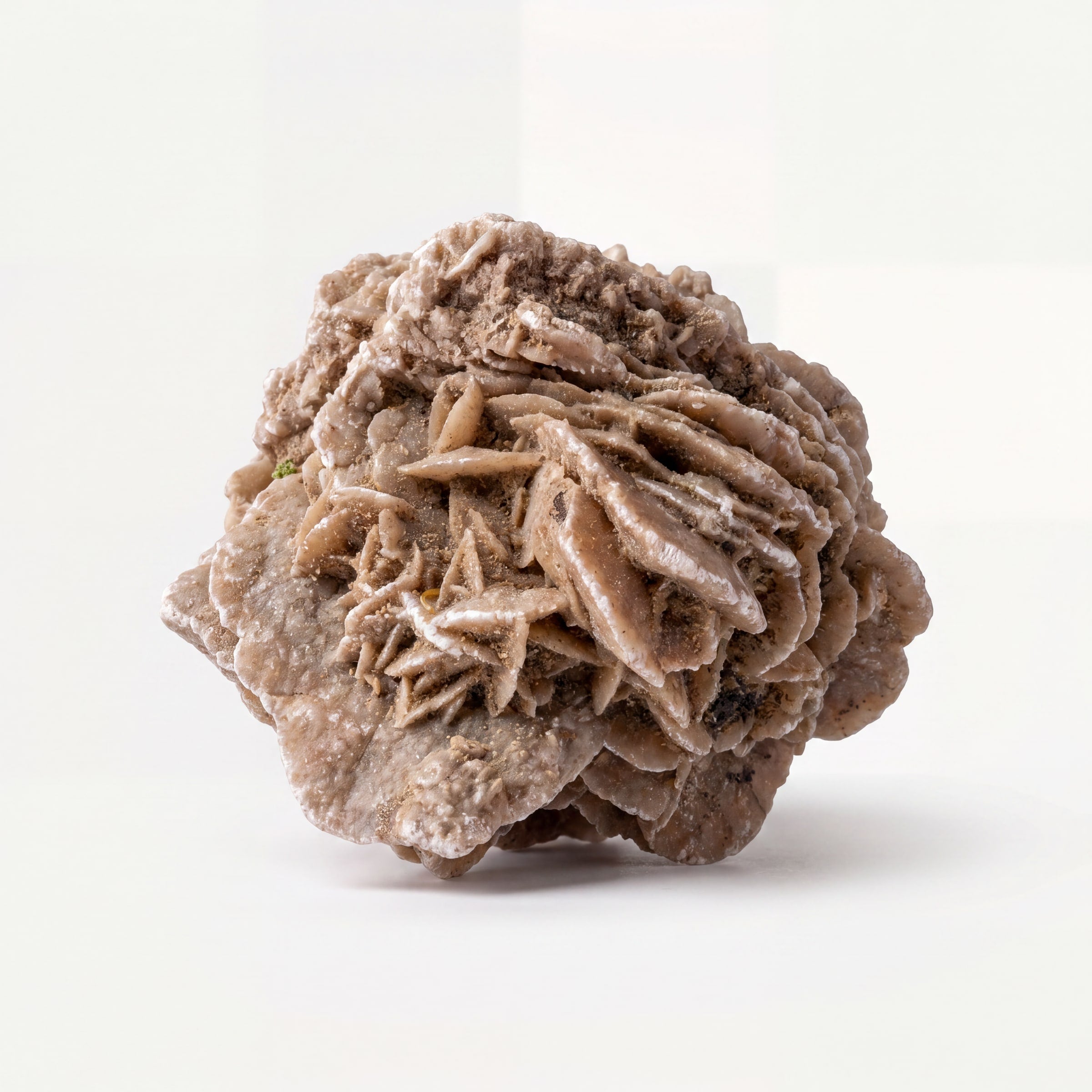 Desert Rose Selenite – 6.2cm 146g | One of a Kind