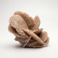 Desert Rose Selenite – 7.5cm 112g | One of a Kind