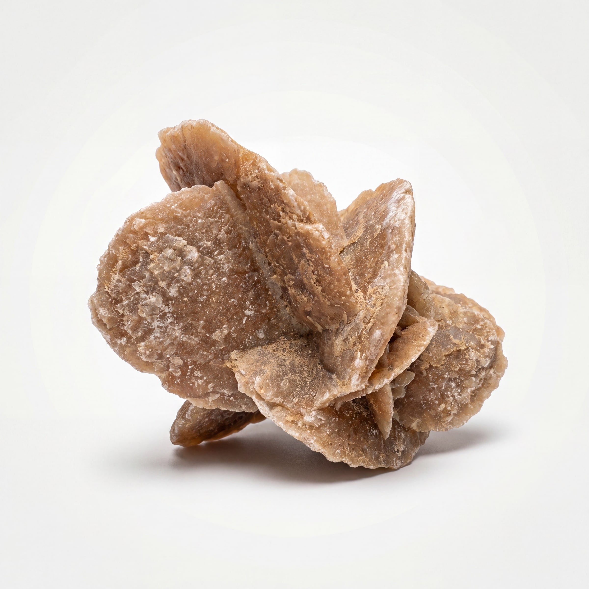 Desert Rose Selenite – 7.5cm 112g | One of a Kind