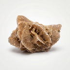 Desert Rose Selenite – 5.4cm 34g | One of a Kind