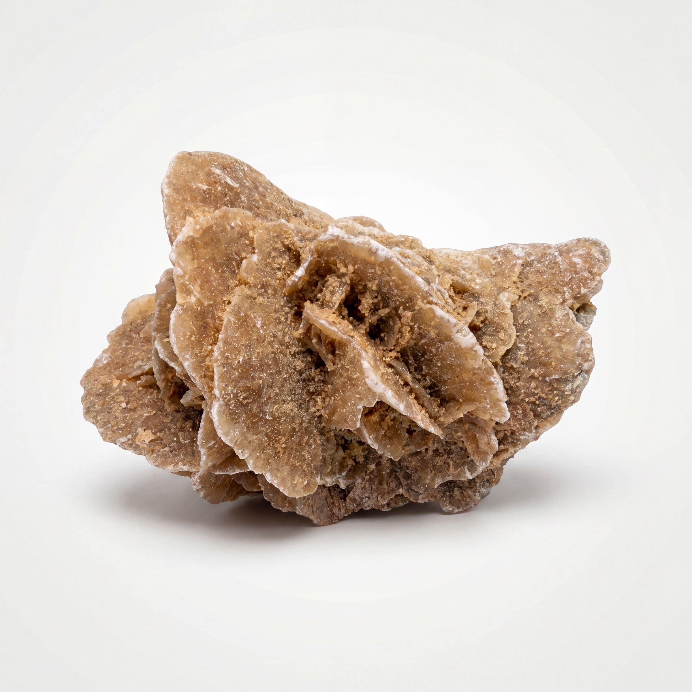 Desert Rose Selenite – 5.4cm 34g | One of a Kind