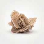 Desert Rose Selenite – 5.4cm 34g | One of a Kind