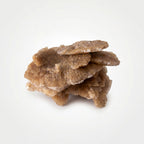 Desert Rose Selenite – 5.1cm 41g | One of a Kind