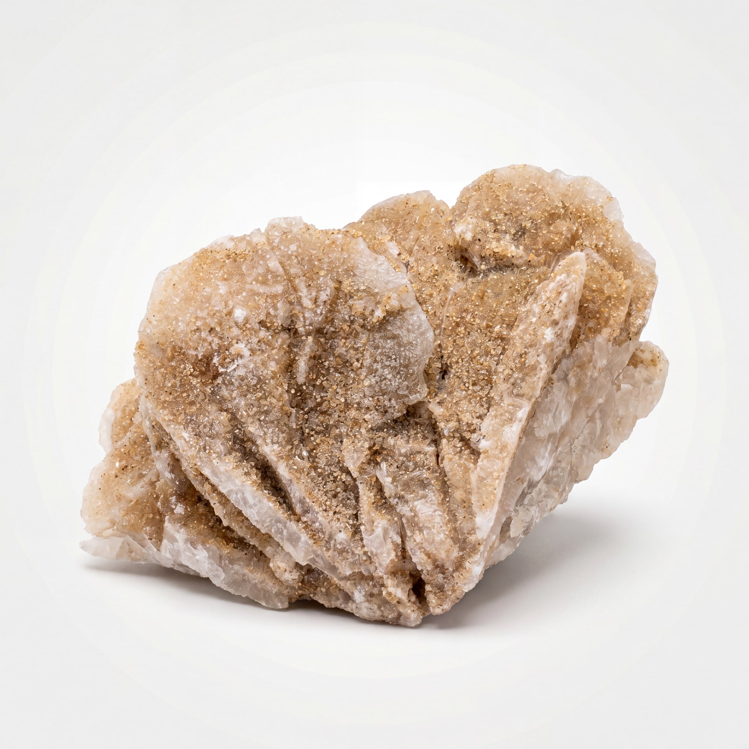 Desert Rose Selenite – 5.1cm 41g | One of a Kind