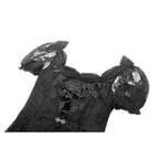 Dark in Love Morwenna Lace Gothic Maxi Dress in Black