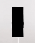 BLACK 4.0 (or is it?) - The blackest black paint in the known universe
