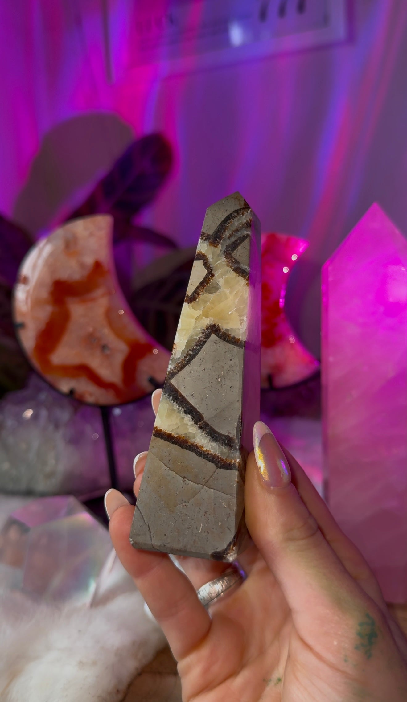 Septarian points