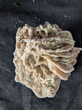 Desert Rose Selenite – 6.2cm 146g | One of a Kind
