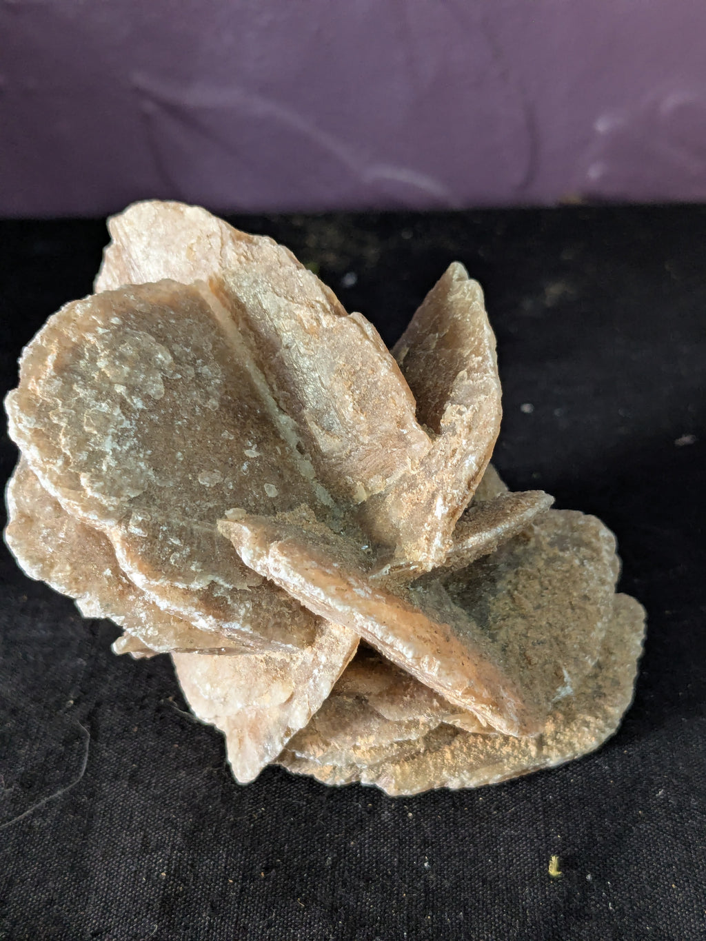 Desert Rose Selenite – 7.5cm 112g | One of a Kind