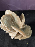Desert Rose Selenite – 7.5cm 112g | One of a Kind