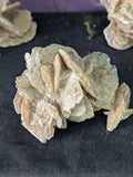 Desert Rose Selenite – 6.5cm 56g | One of a Kind