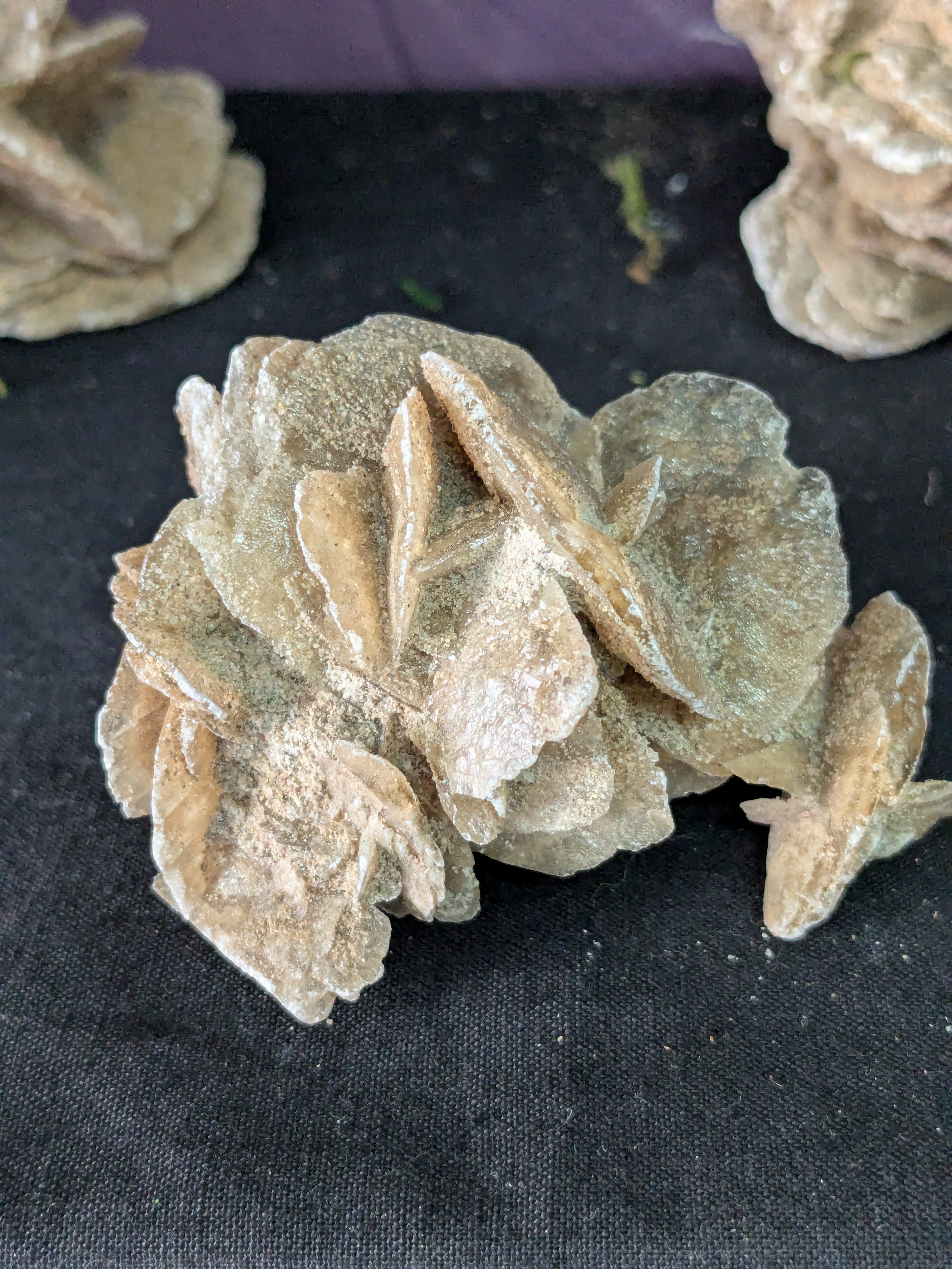 Desert Rose Selenite – 6.5cm 56g | One of a Kind