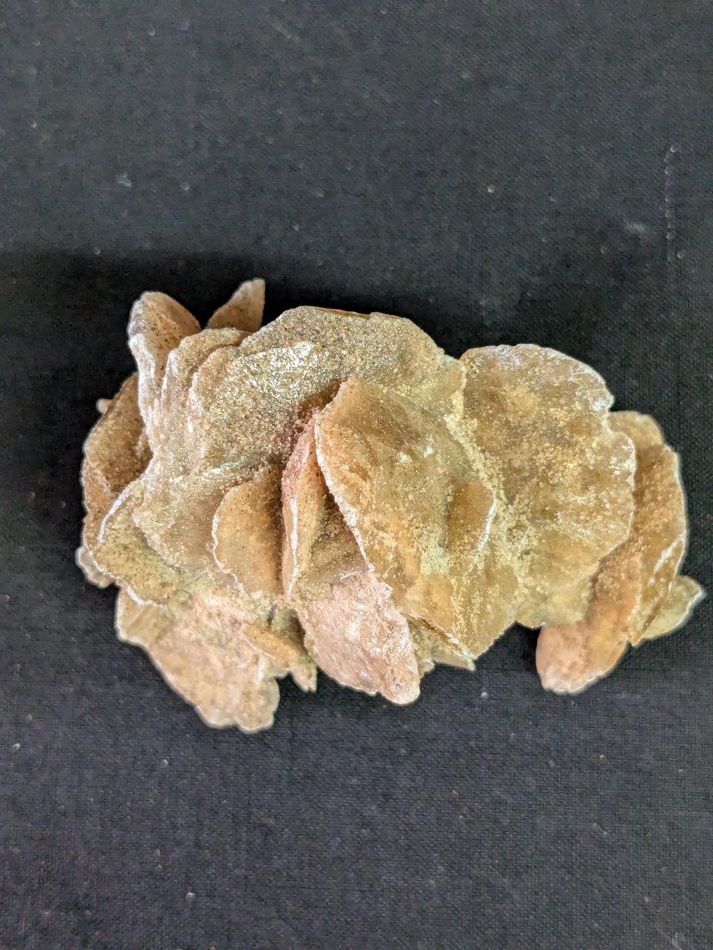 Desert Rose Selenite – 6.5cm 56g | One of a Kind