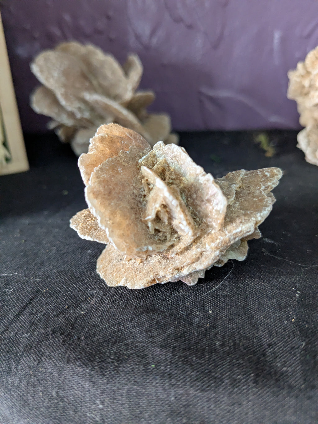 Desert Rose Selenite – 5.4cm 34g | One of a Kind