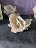 Desert Rose Selenite – 5.4cm 34g | One of a Kind