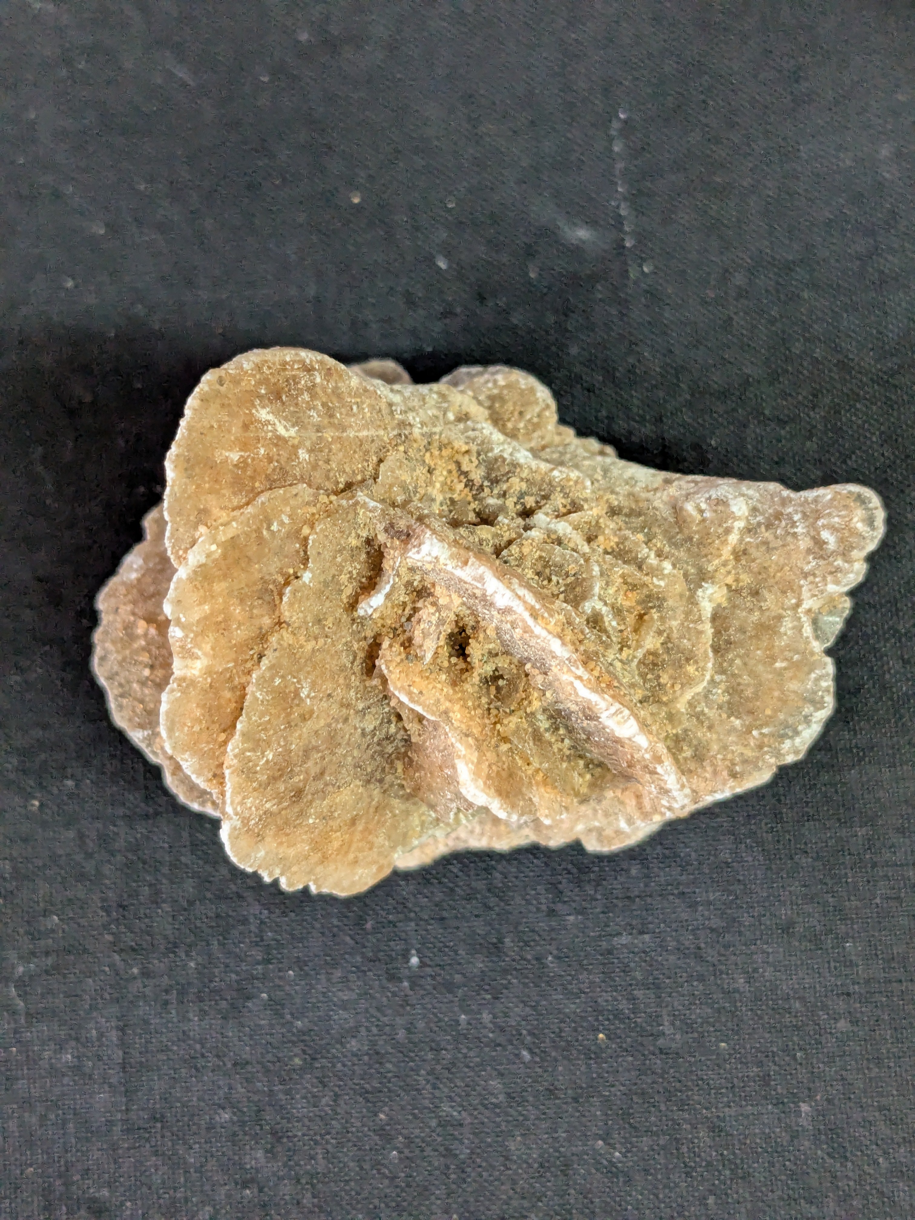 Desert Rose Selenite – 5.4cm 34g | One of a Kind