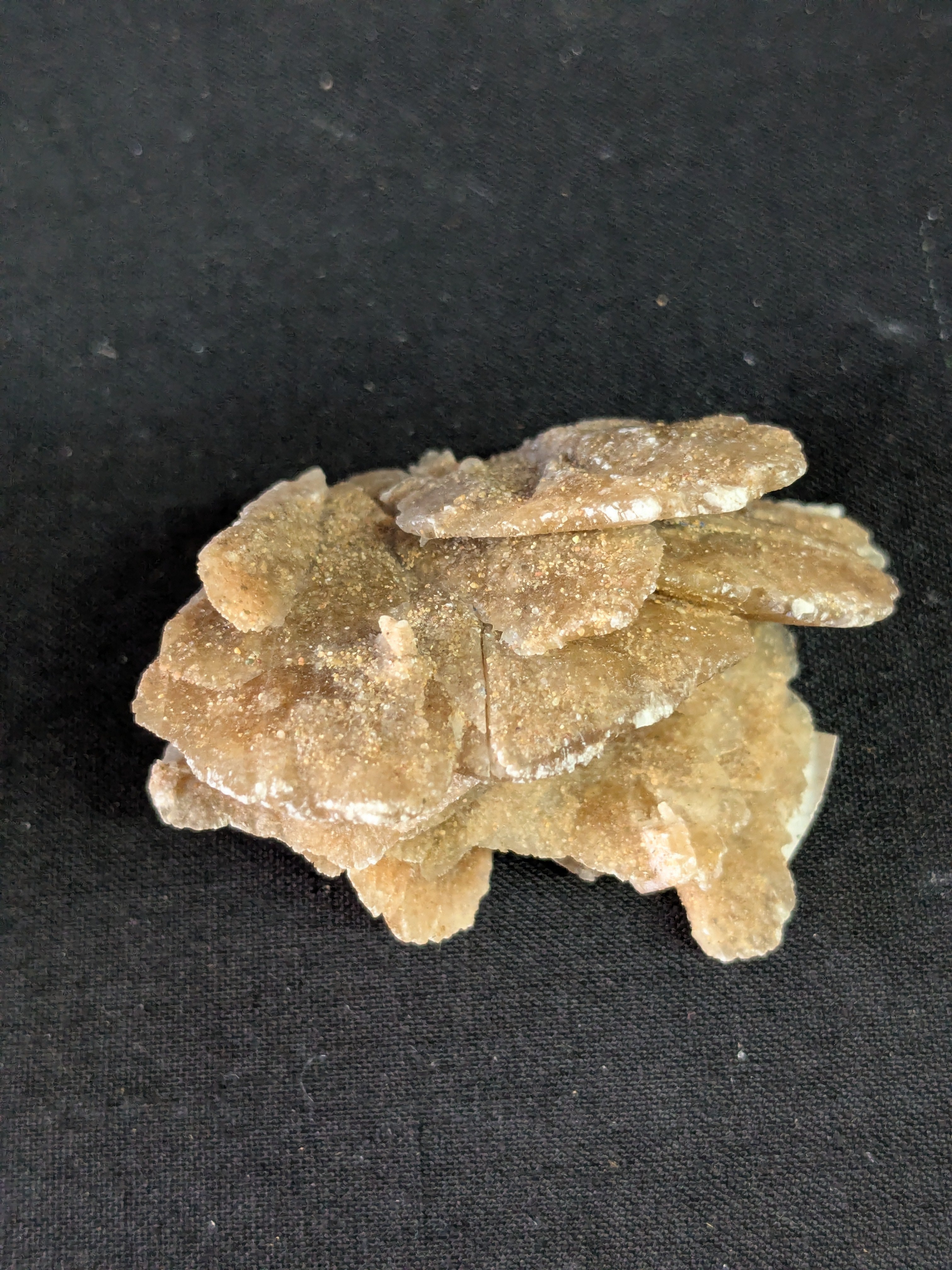 Desert Rose Selenite – 5.1cm 41g | One of a Kind