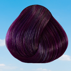 Plum Hair Dye - Dark Plum Semi-Permanent Colour | La Riche Directions