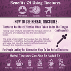 Organic Fresh Milky Oat Tops Tincture - NERVOUS SYSTEM, LIBIDO, MOOD & STRESS