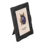 Gothic Gifts Scarab Beetle Framed Wall Art Print