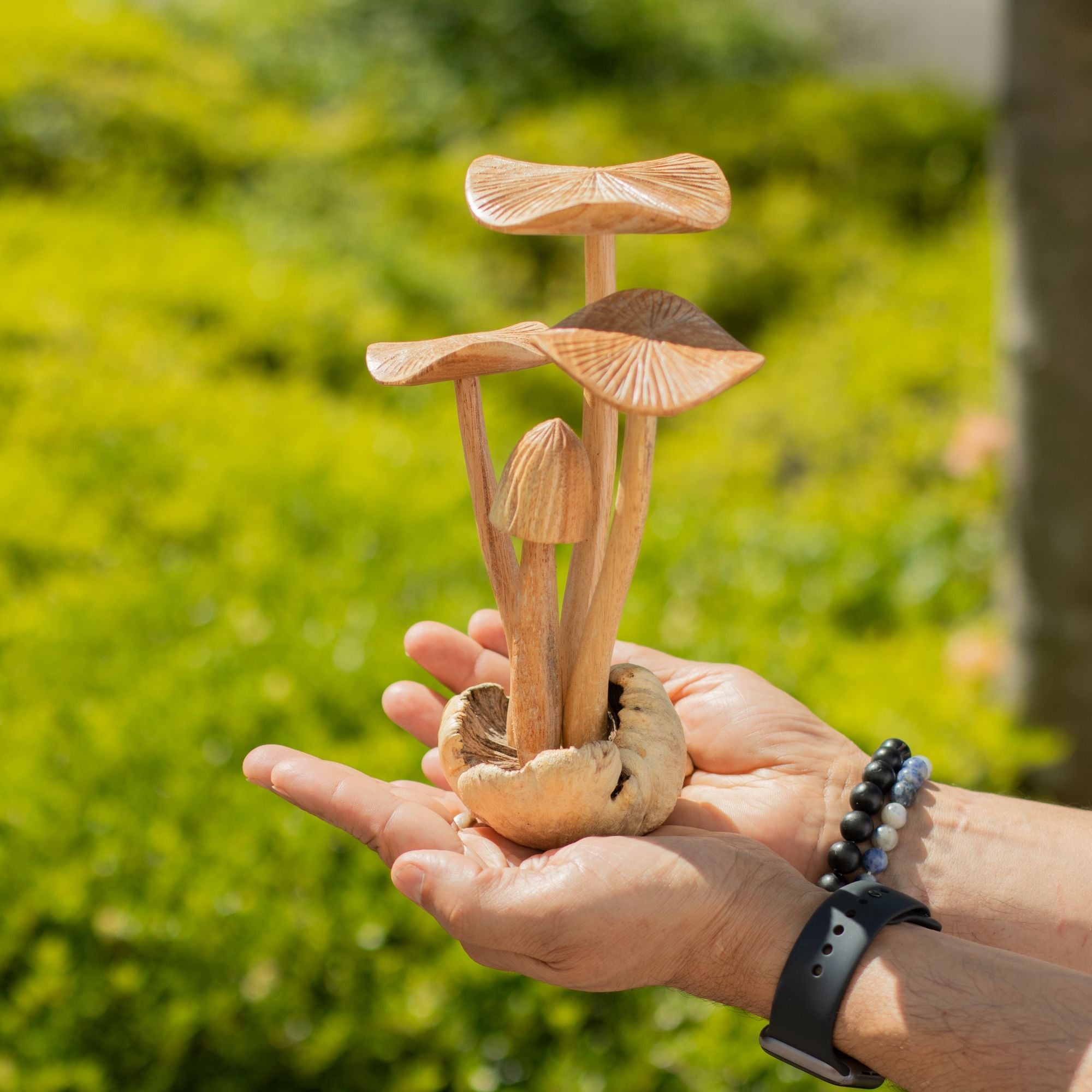 Tall Hand-Carved Wooden Mushroom Sculpture on Parasite Wood Base