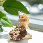 Hand-Carved Wooden Owl on Parasite Wood Base