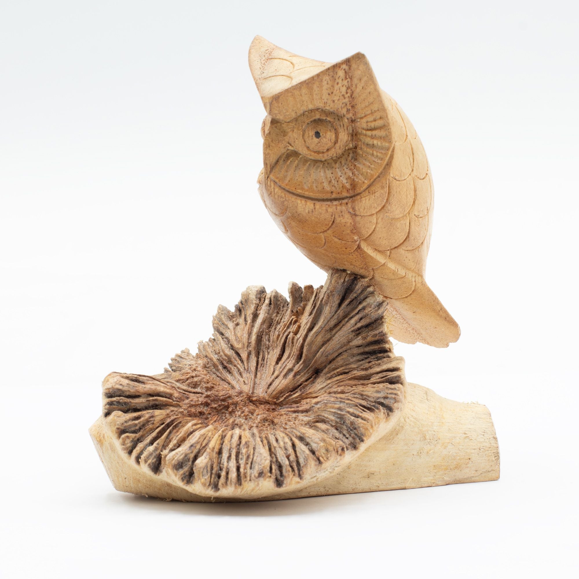 Hand-Carved Wooden Owl on Parasite Wood Base