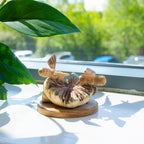 Hand-Carved Wooden Bees on Parasite Wood Base