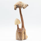 Hand-Carved Wooden Mushrooms on Parasite Wood Base