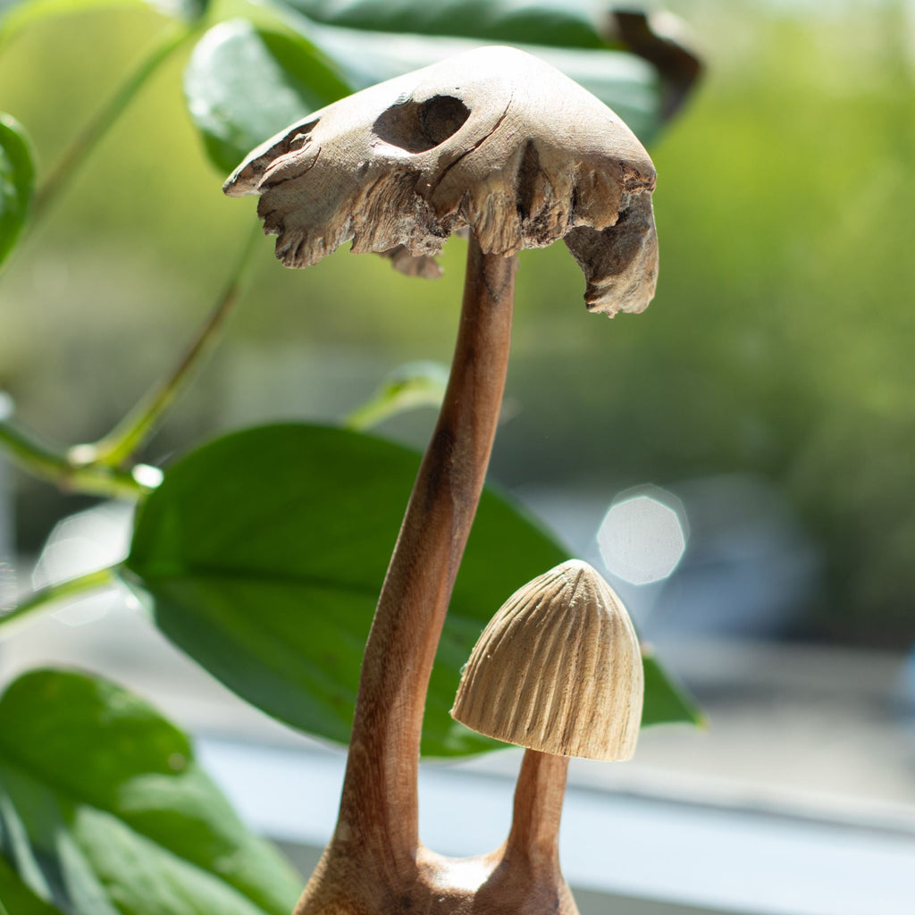 Hand-Carved Wooden Mushrooms on Parasite Wood Base