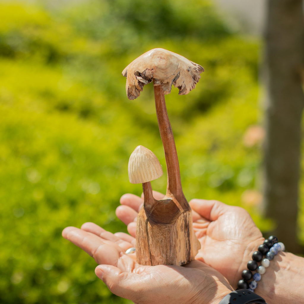 Hand-Carved Wooden Mushrooms on Parasite Wood Base