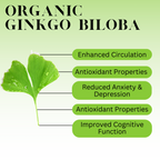 Organic Ginkgo Leaf Tincture - CIRCULATION, COGNITIVE FUNCTION, ANTIOXIDANT
