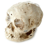 Gothic Gifts Skull Dig It Out Kit